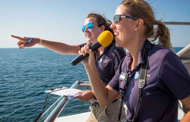 Crucero de avistamiento de ballenas del New England Aquarium - Foto 11