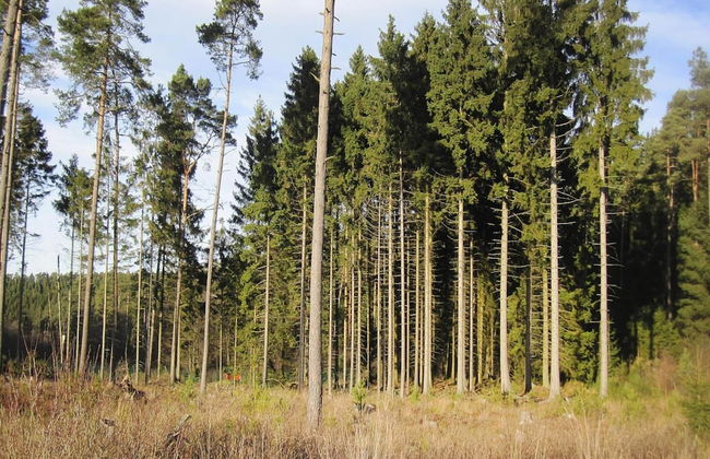 Apartment in Lissendorf With Garden Oasis - Photo 16