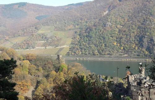 Gemütliches Häuschen mit Innenhof - Longstay - Foto 29