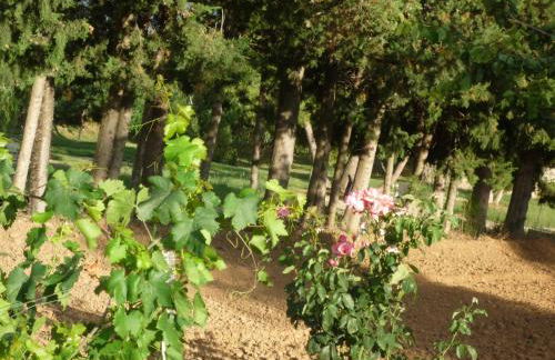 Hort de L'Aubert - Foto 35