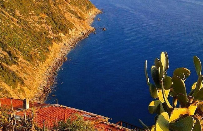 Lecci Di Soviore - Foto 21