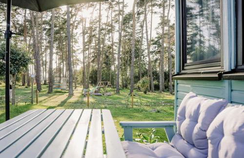 Ferienhäuser Insel Usedom Waldhaus 2 mit Whirlpool - Direkt am Achterwasser - Foto 21