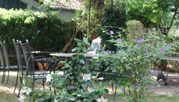 Land und Leute - Landleben Fewo 1 - Foto 3, Garden, Garden view