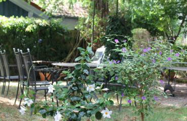 Land und Leute - Landleben Fewo 1 - Foto 3