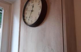 4 Sterne Wohnen "Zum alten Forsthof" am Schlosspark, App 3 "wunnerbor" - Foto 25