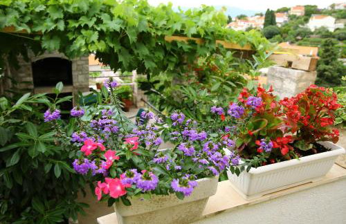 Apartments Boro - Photo 101