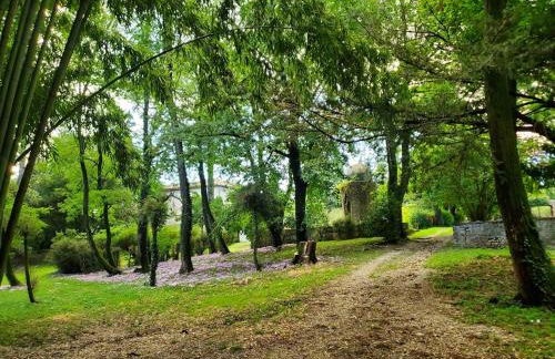 Dreamy Château for big groups and their pets - Foto 7