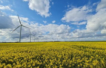 Hotel Garni Am Lindenhof Bunde - Foto 28