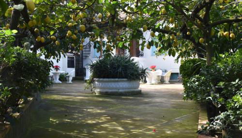 De Gregorio - Foto 4, Garden