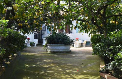 De Gregorio - Foto 4