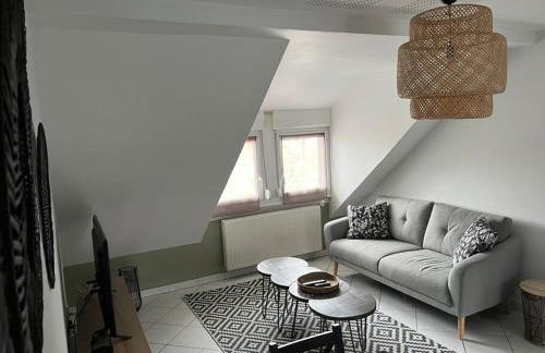 Appartement T3 rénové 60m2 proche centre Colmar - Foto 19