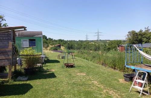 Freilandhof - Foto 58