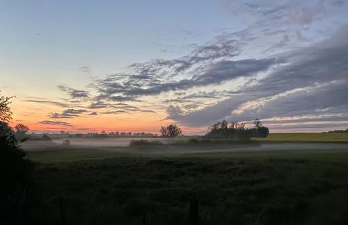 Altes Siedlerhaus Nesebanz - Foto 28