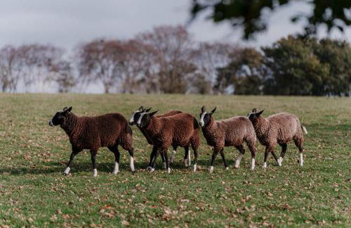 Holwell Farmhouse - Foto 50