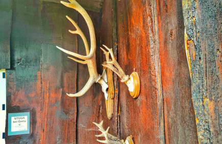 Finnhütte bei GRETA - Foto 11