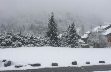 Bozel Rez de Chausse T1 - Foto 5