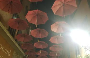 Grasse aux parfums - Foto 34
