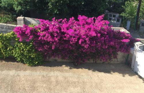 studio Alivu - Foto 21