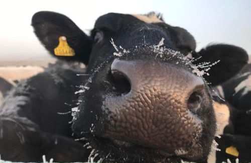 South Barlogan Farm - Photo 46