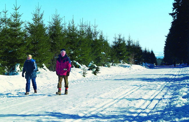 Cozy, Wooden Chalet With a Microwave, Located in a Forest - Foto 31