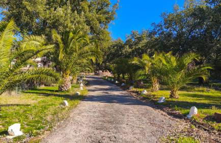 Casa Rural Villa Amigo Aracena by Ruralidays - Foto 36