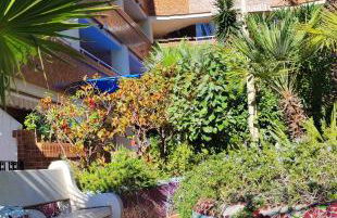 Costa de Marfil I World, Hermoso - ServHouse - Photo 6