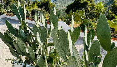 Casa Molo 13 - Foto 4