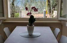 MariGarda Apartments - Foto 49