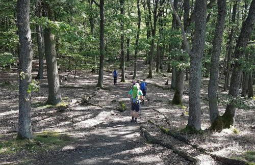 Ferienwohnung Moseltor - Foto 46