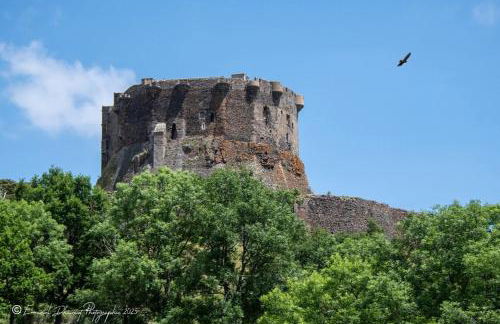 Les Marmottes de Murol - Foto 38