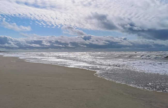 8 Person Holiday Home in Ulfborg - Foto 37