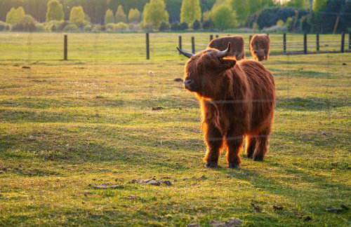 Agroturystyka "Apartament na wsi" Bory Tucholskie - Foto 41