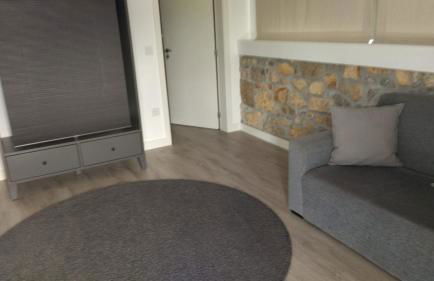 Quinta Do Rio - Foto 8