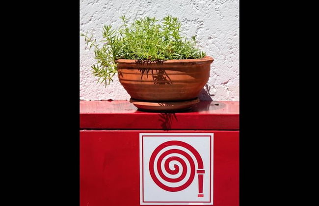 Apartments With Garden View, Creta, Ierapetra - Foto 29