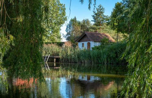 Siedlisko Leszczewek - Foto 11
