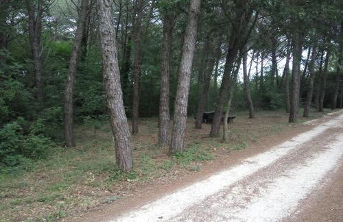 Apartment Asparagus - Photo 30