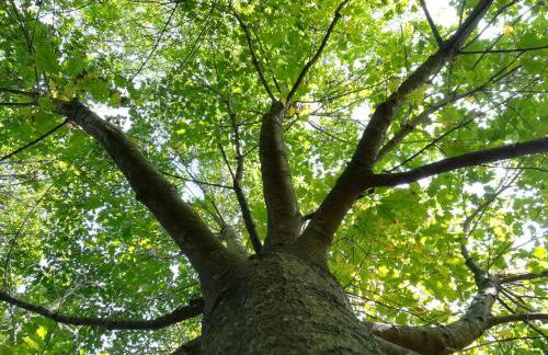 Quinta de S. Vicente 317 - Foto 75