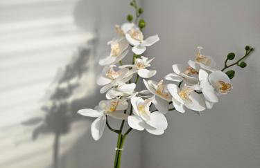 Apartment Moreno - Foto 17