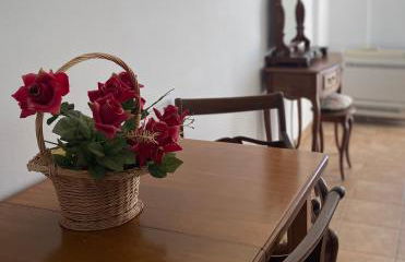 FORESTEVA Studios - Photo 75