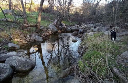 Molino Mellado - Foto 49