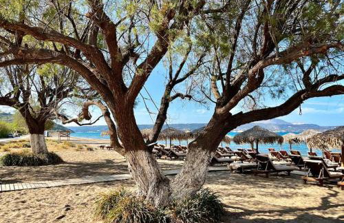 Maison Théia, entre mer et montagne Samonas - Foto 50