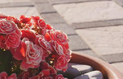 Chios Cozy Apartment 3 - Photo 11