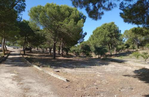 Quinta Fula Fula - Foto 17