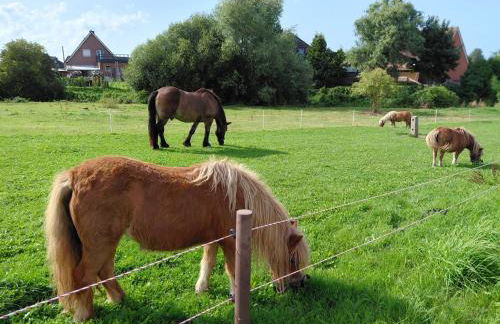 Landhaus Timm - Ferienhaus an der Ostsee - Foto 25