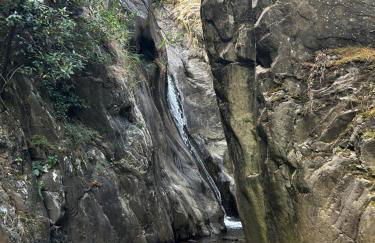 Free Spirit - Photo 28