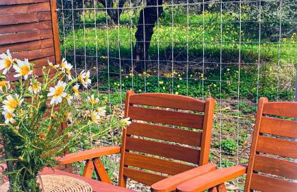 YVONNE's HOUSE - Foto 20