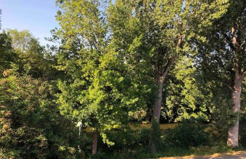 Neues schönes Studio, zentral & direkt an der Rems - Foto 12