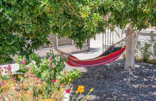 Central Ionion - Foto 46