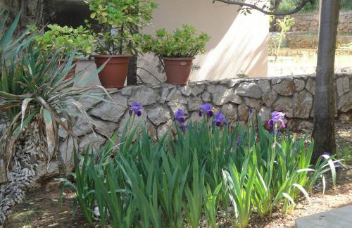 Holiday Home Mirna - Foto 56