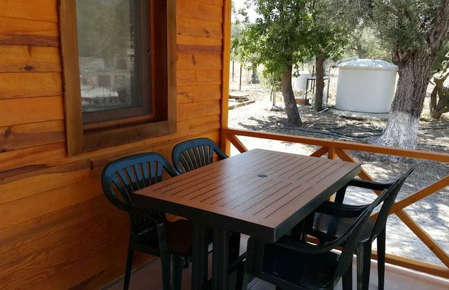 Dream Garden Evleri - Photo 22